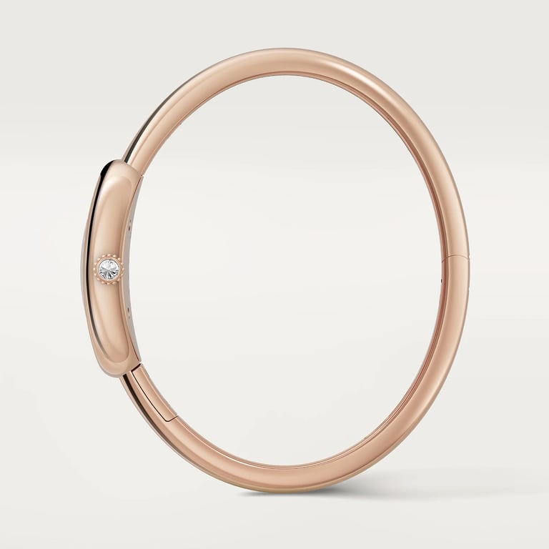 Baignoire watch 5