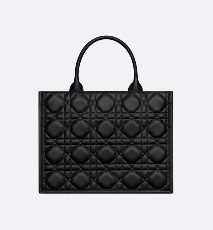 DIOR Medium Dior Book Tote