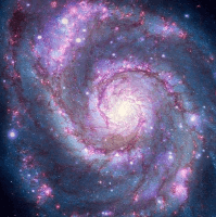 Avatar image of テ