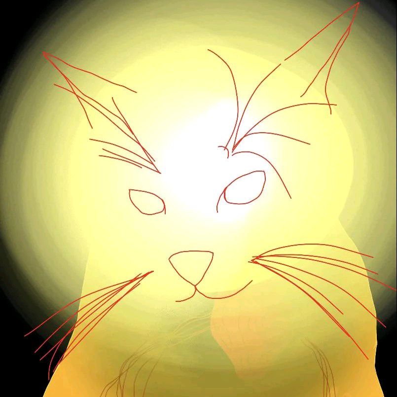 Avatar image of uzbek228