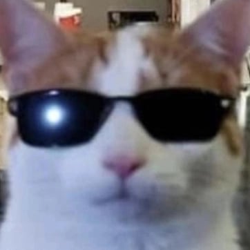 Avatar image of fuck you