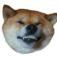 Avatar image of EcchiShiba