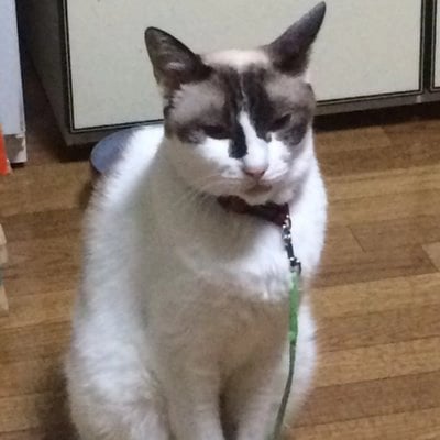 Avatar image of くらっしゅ
