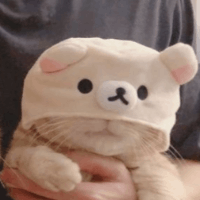 Avatar image of 𝙲𝚑𝚘𝚙𝚒𝚒