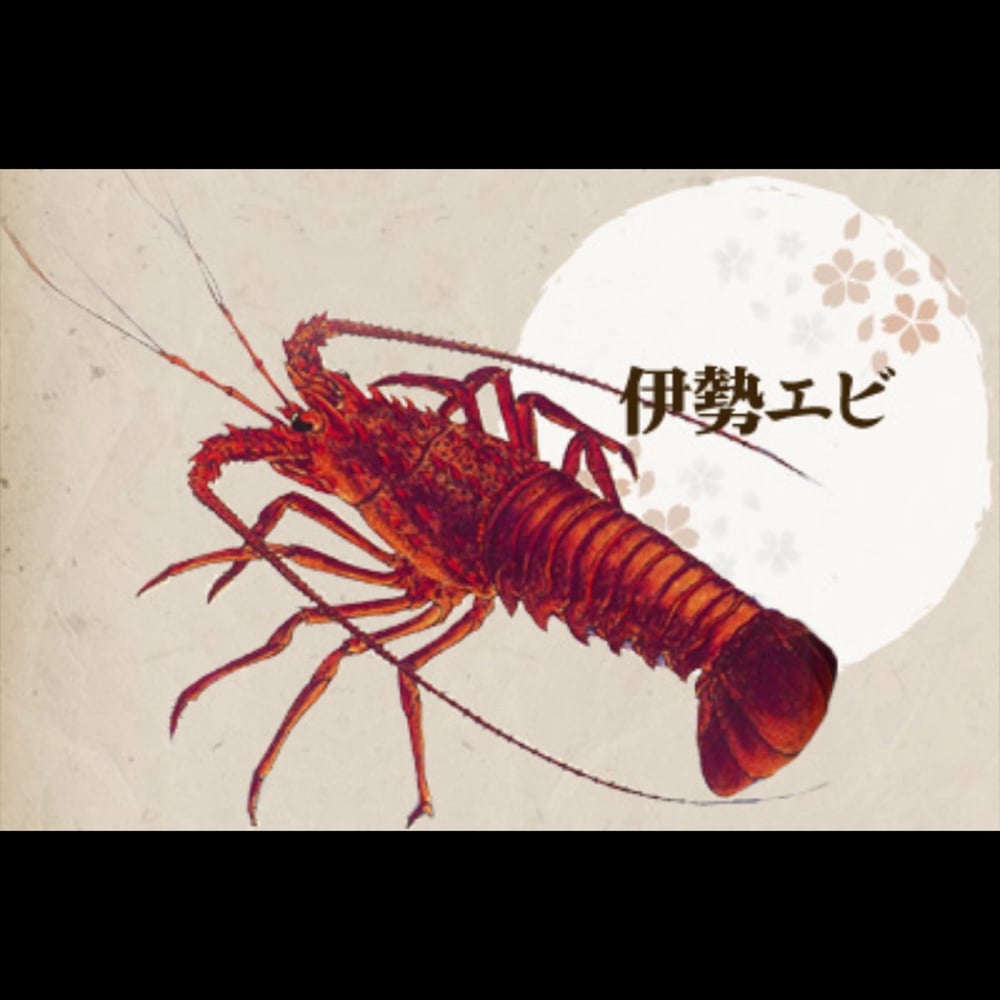 Avatar image of 手長エビ