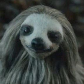 Avatar image of MrNinjaplus