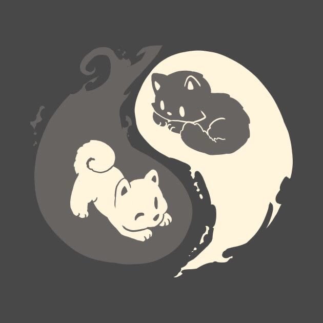 Avatar image of Kuropatwa69