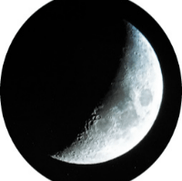 Avatar image of GorgonZola