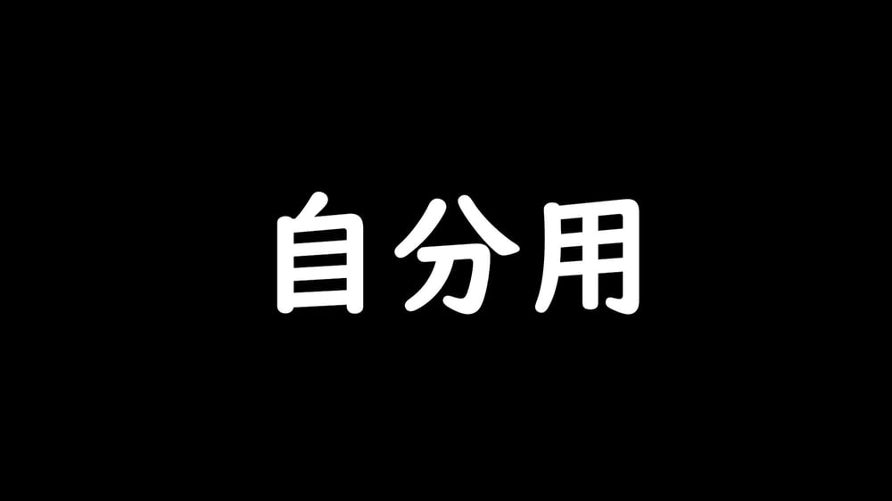 自分用 - AI Model cover image