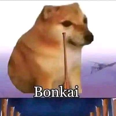 Avatar image of Bonkai