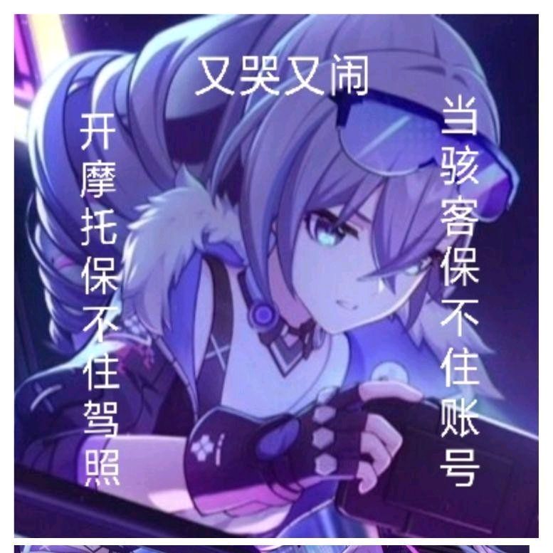 Avatar image of 陌玖旭