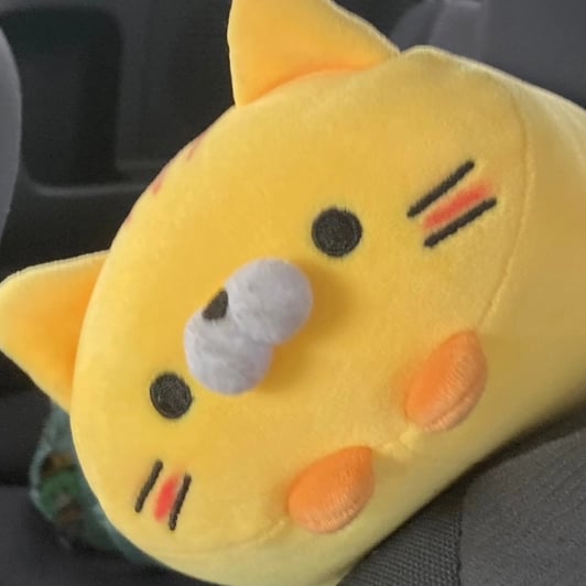 Avatar image of にゃんたま