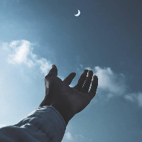 Avatar image of Lonely hand