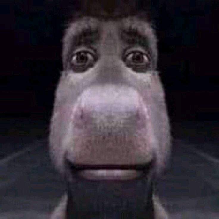 Avatar image of Gow