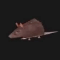 Avatar image of Randomdude2 