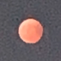Avatar image of 暗野陰人
