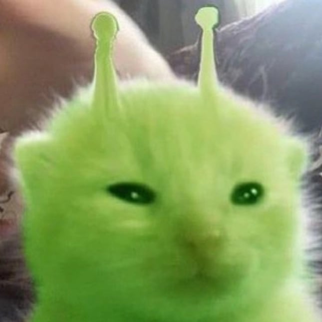 Avatar image of loocifoo 