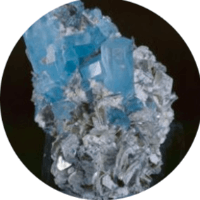 Avatar image of Cursader_V
