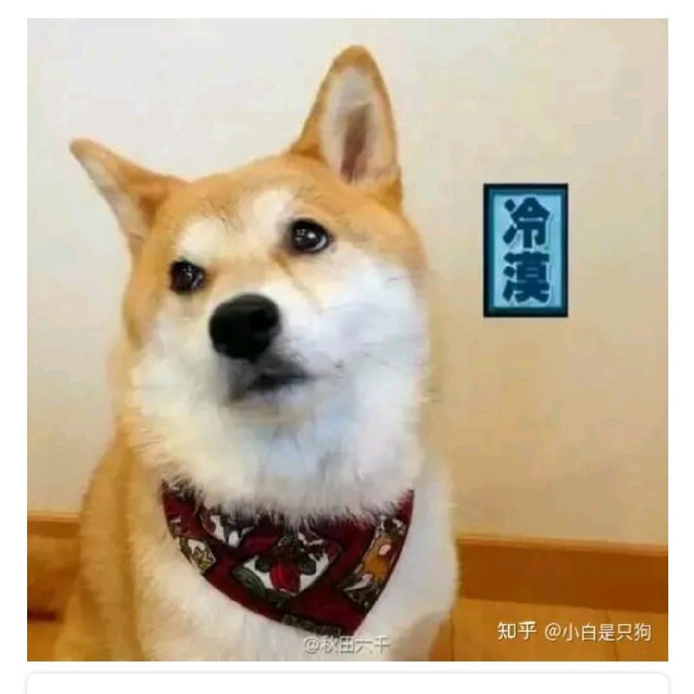 Avatar image of zeon Lee