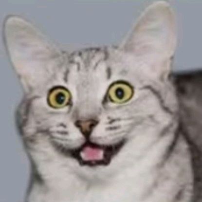Avatar image of JackOfAllTrades