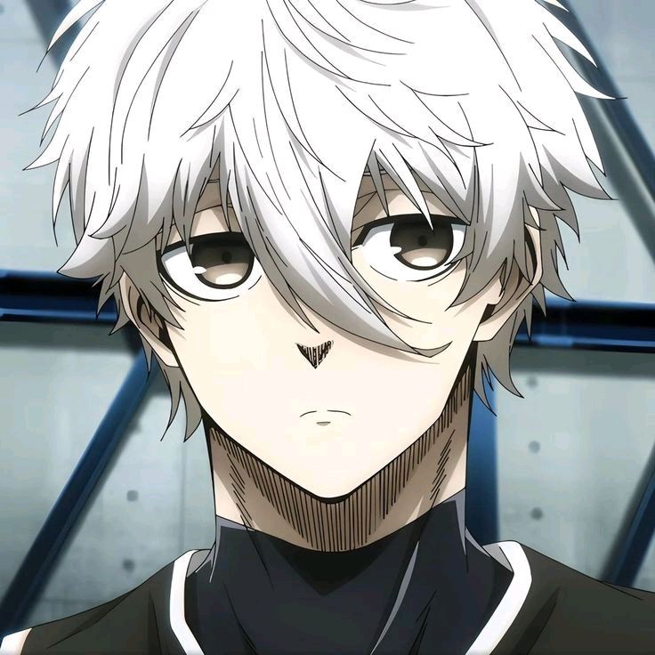 Avatar image of Yuki Z