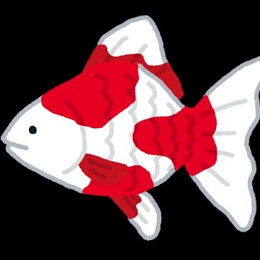 Avatar image of 金魚大好きマン