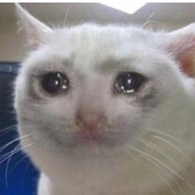 Avatar image of ILOVECATS