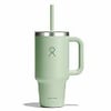 Camp kitchen, Hydro Flask, Water bottles, Travel Tumbler (946ml)