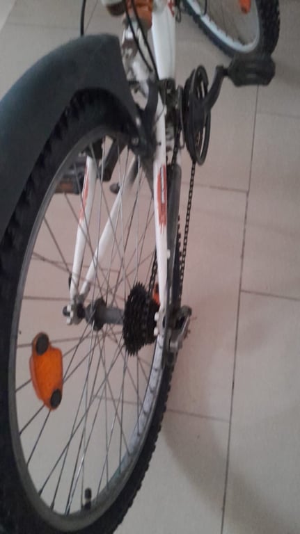 Fotografi e Biciklet 26 në LIST.AL