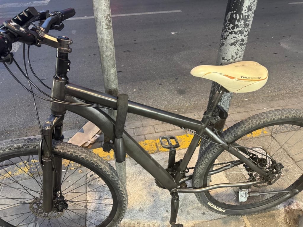 Fotografi e biciklet me disko fren alkoli masa 29 ezez në LIST.AL