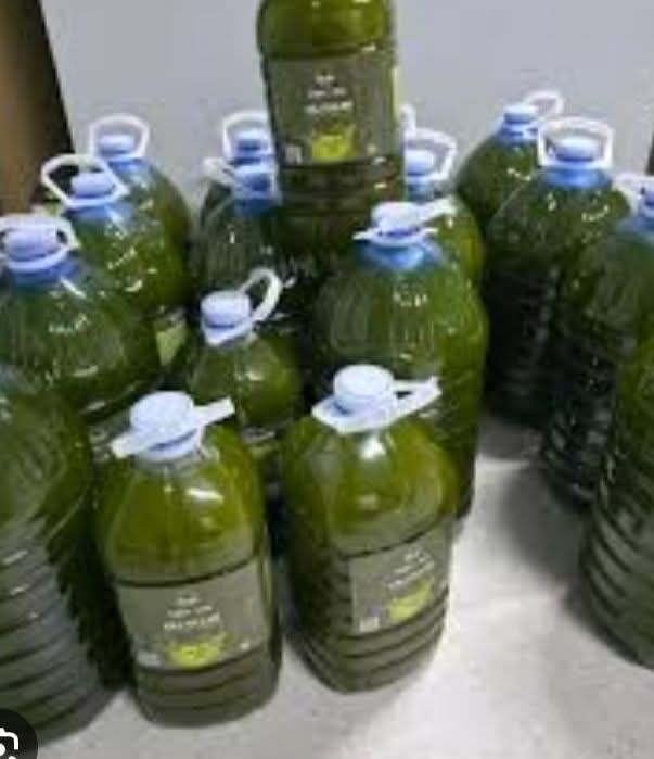 Fotografi e vai ulliri në LIST.AL