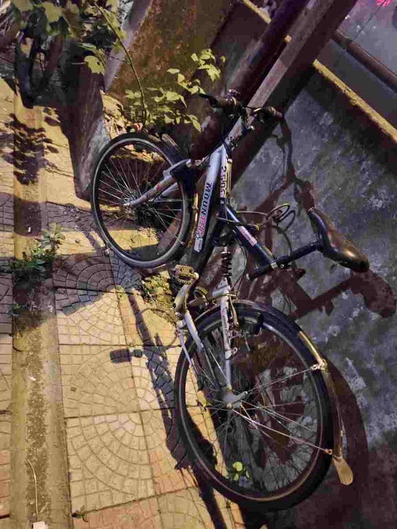 Fotografi e Bicikleta në LIST.AL