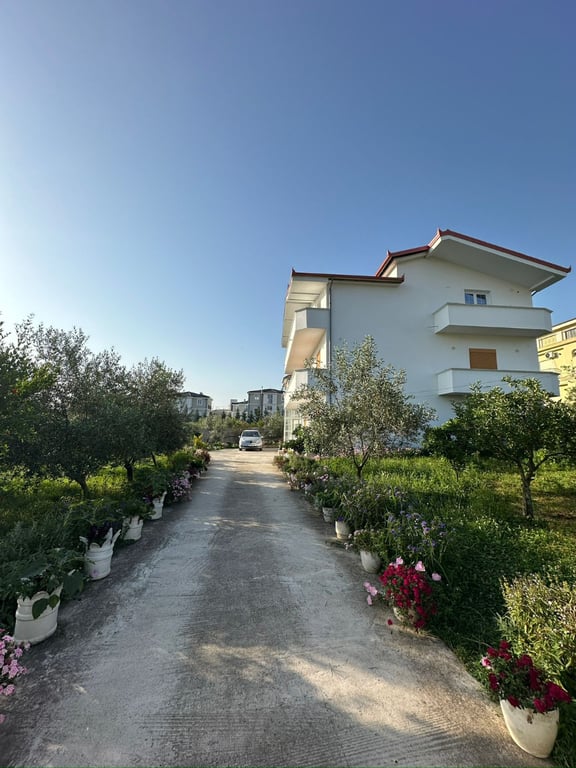 Fotografi e VILE TRE KATESHE ME QIRA "MJULL BATHORE" në LIST.AL