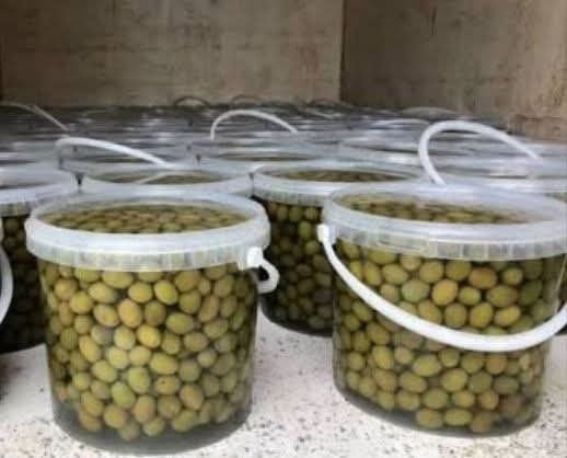 Fotografi e ulli kokerr kati per servirje në LIST.AL