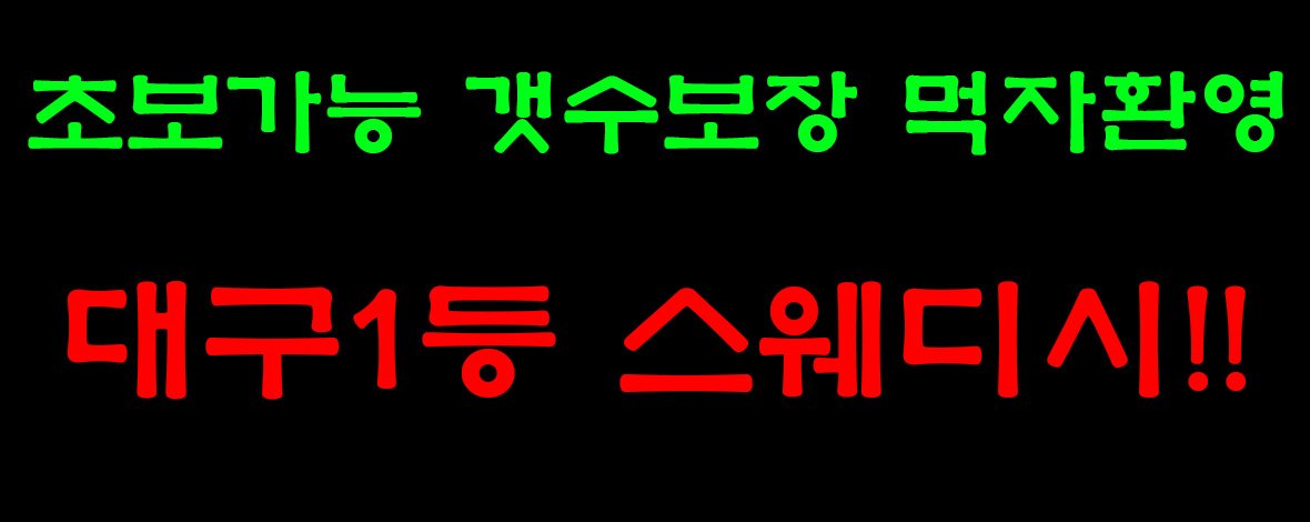 업체이미지