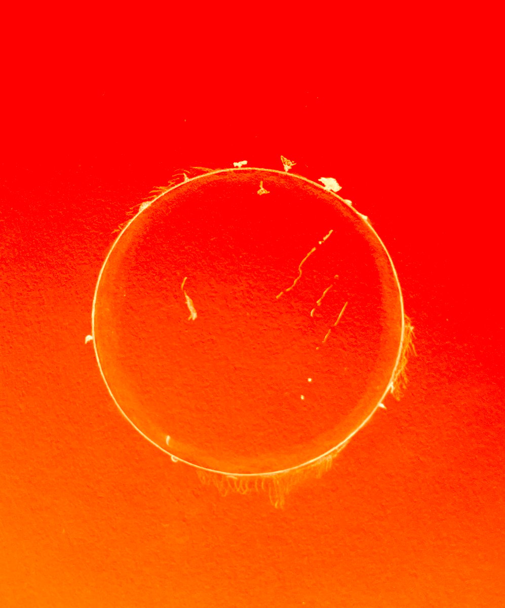 80DC1404 0455 4AAC B13E D98A2F9856C4