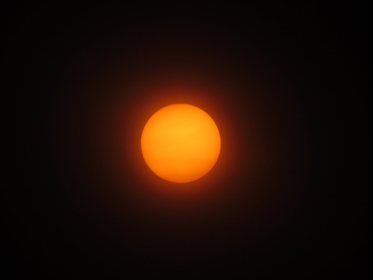 IMG 9655