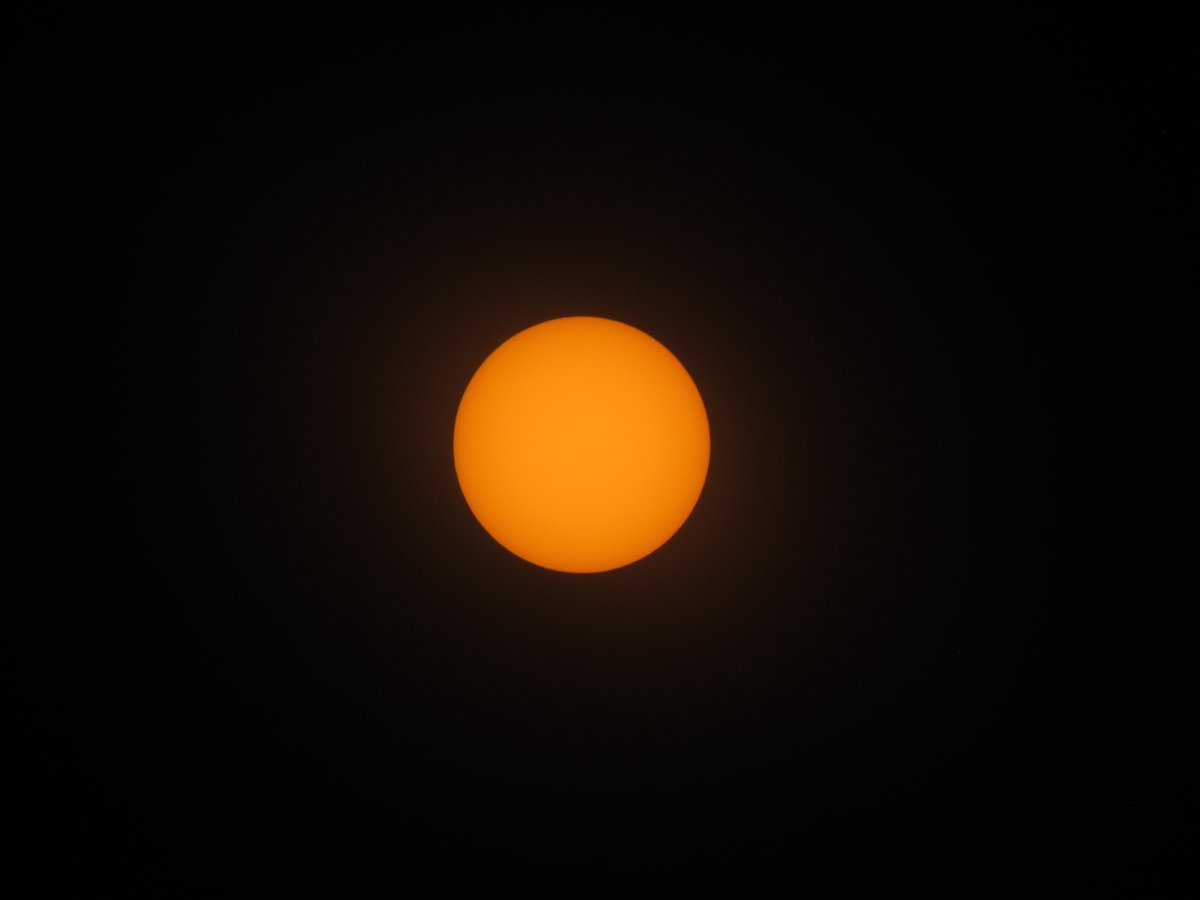 IMG 9628
