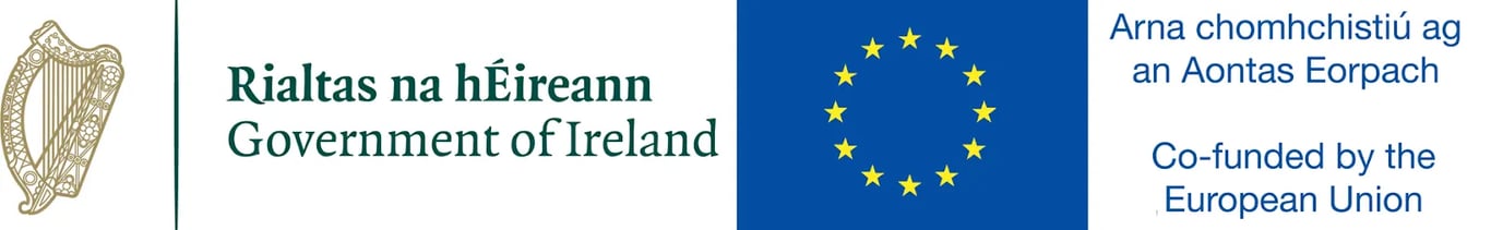 Irish Government and the European Social Fund