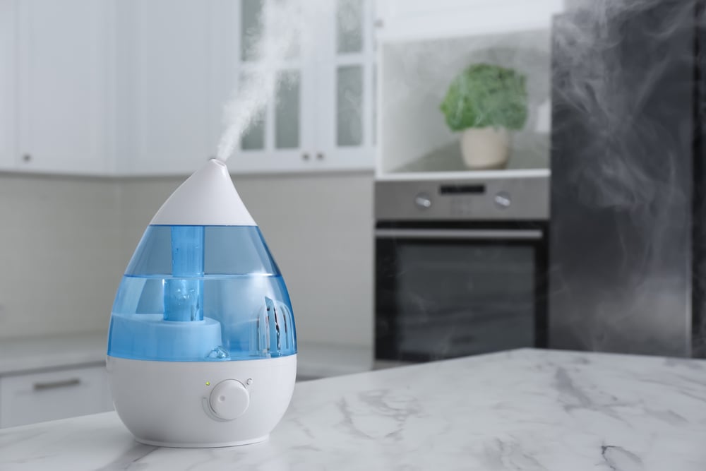 Mejores Humidificadores 2024