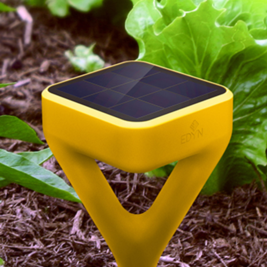 Yellow solar-powered light bulb on a circular holder with green plants
