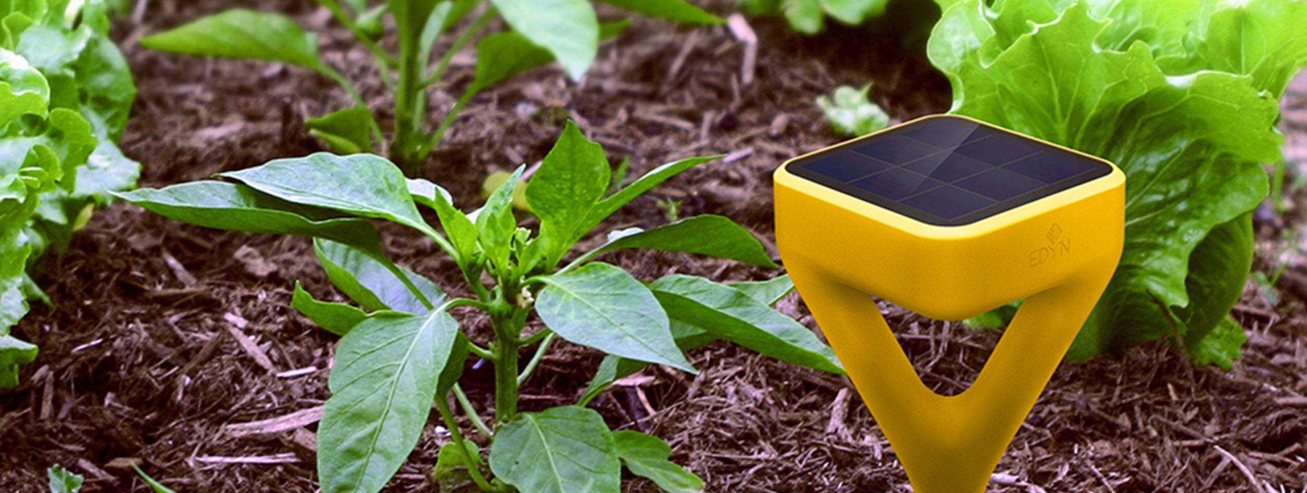 Brown gardening tool with green plants in background, black background