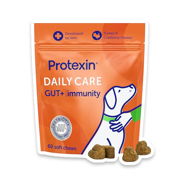 Protexin Daily Care Gut+ Immune Support Soft Chews, Blueberry, 60 Pack