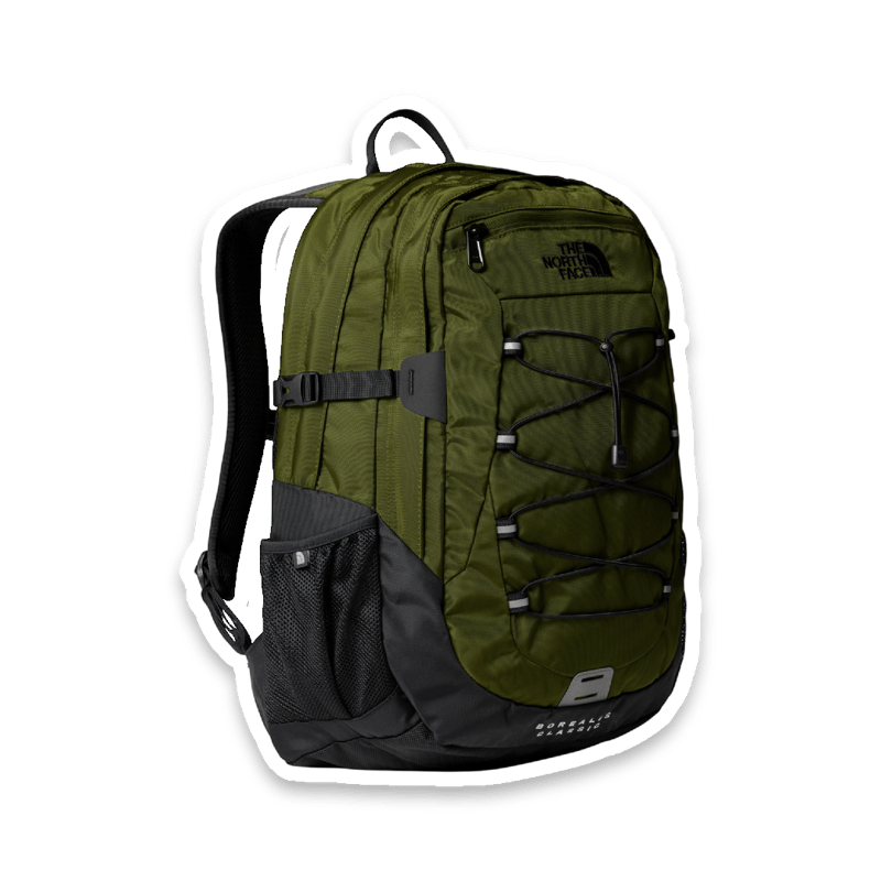 The North Face Borealis Classic Backpack