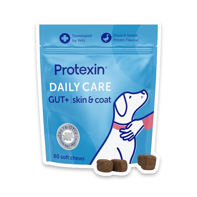 Protexin Daily Care Gut+ Skin Soft Chews (60 Count, Potato Flavour)