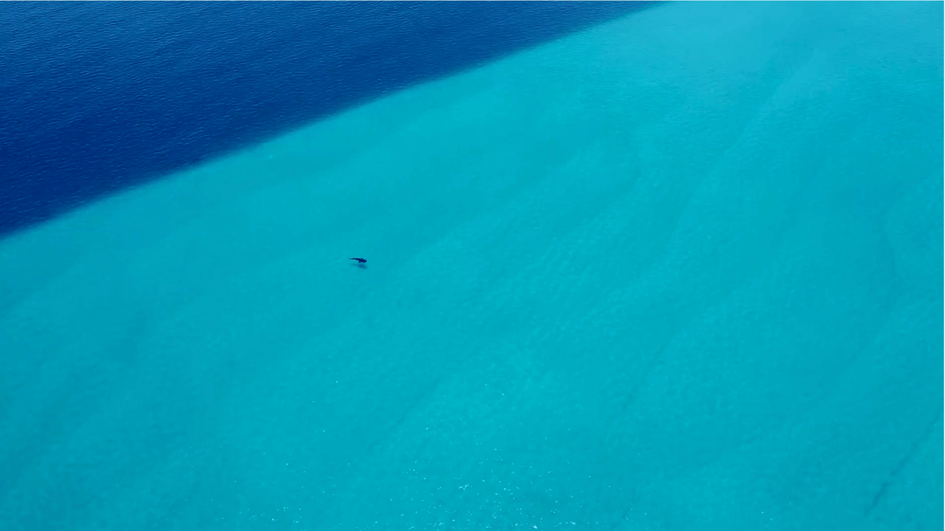 Mafia Island photo 3