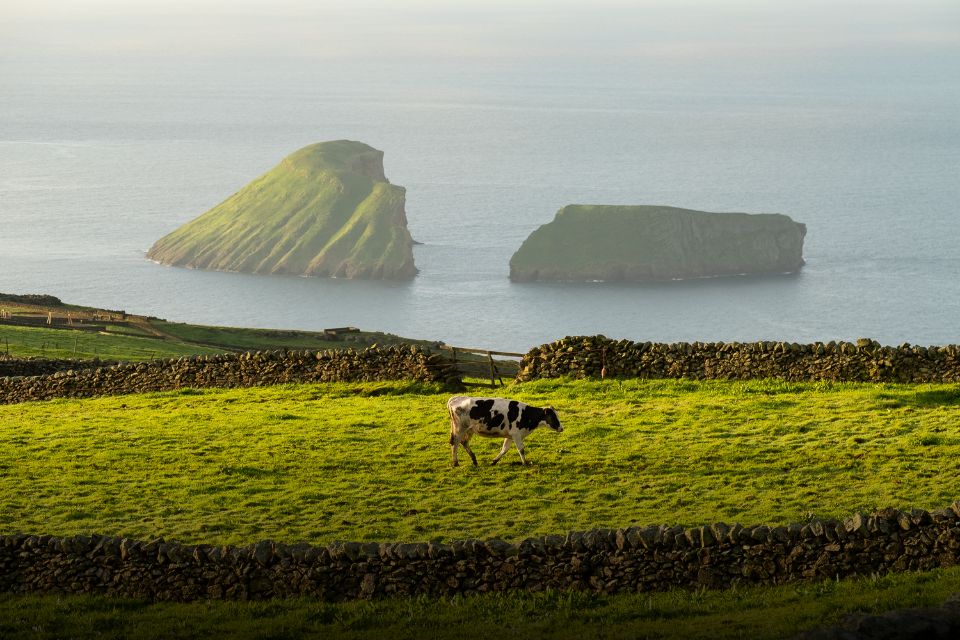 Terceira, Azores photo 15