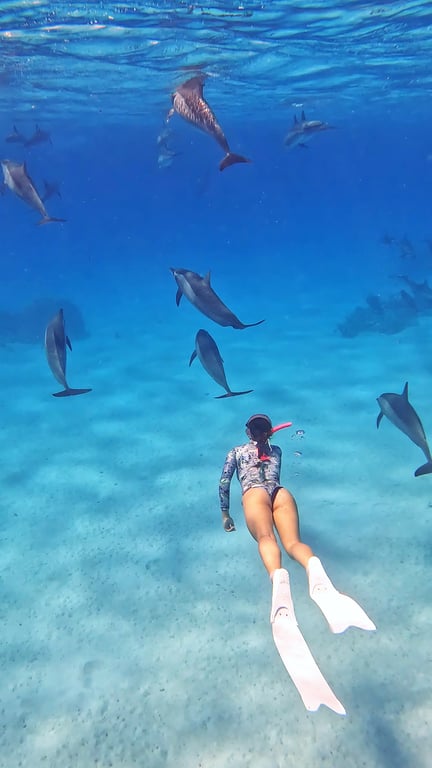 Freediving and dolphins at Sataya photo 7