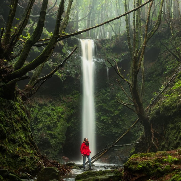 Terceira, Azores photo 1