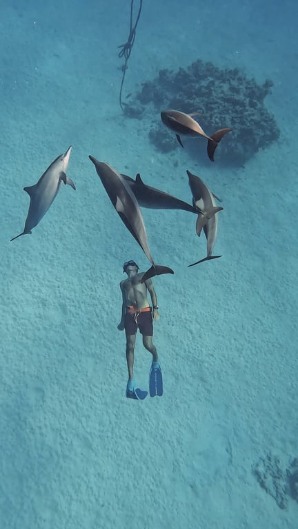 Freediving and dolphins at Sataya photo 8